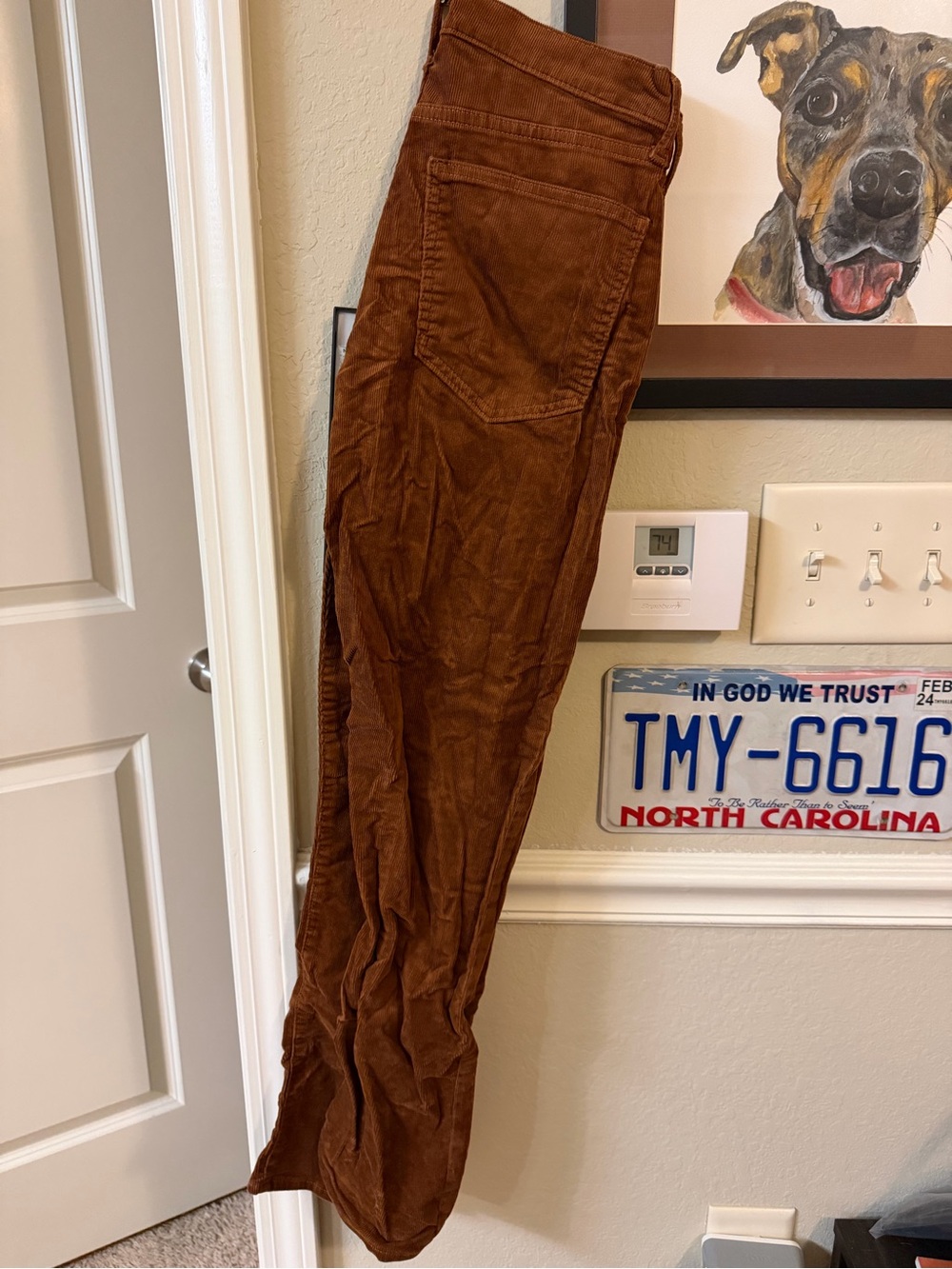 GAP Corduroy Slim Pants in Rust